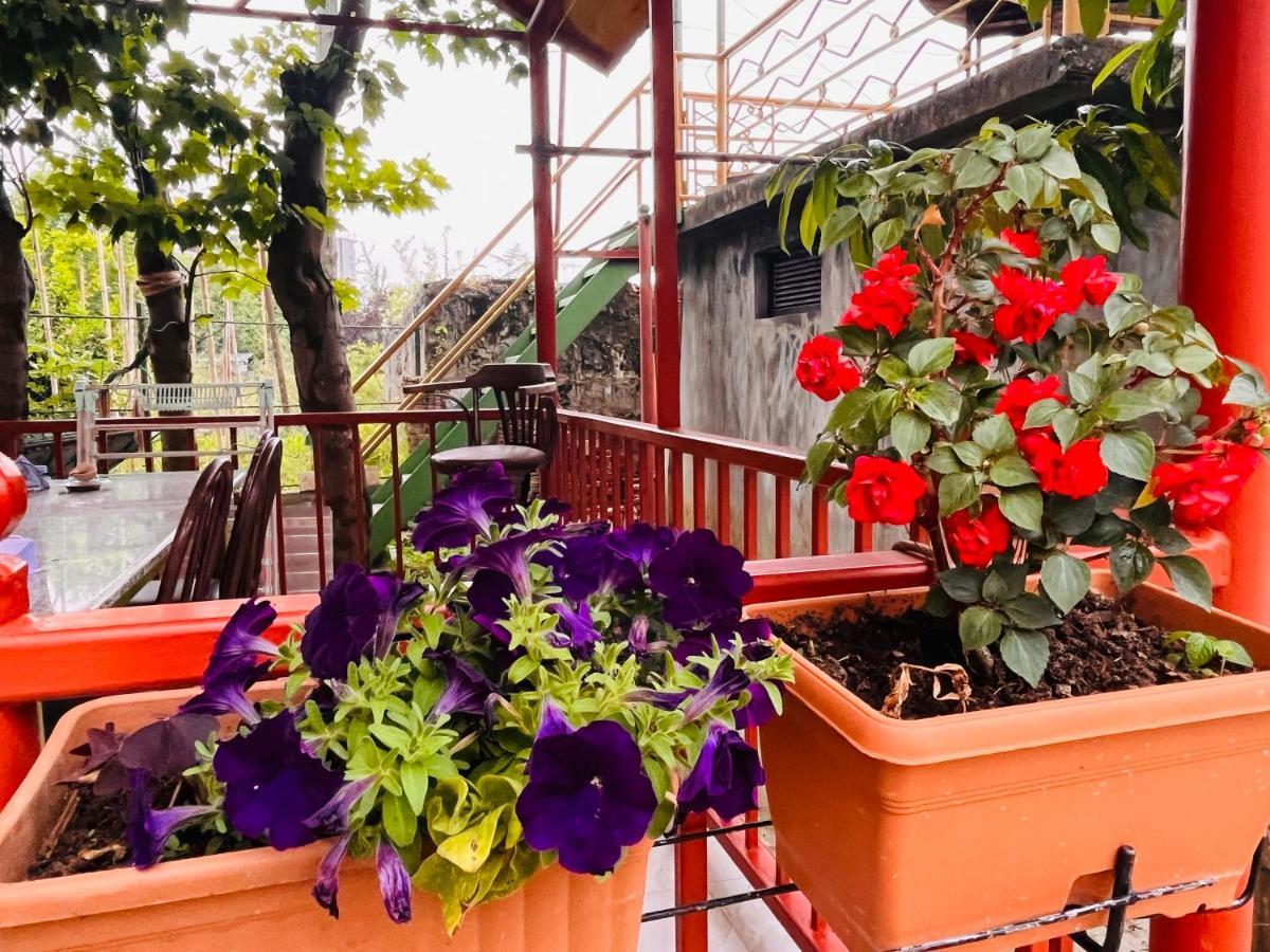 Dato'S Guesthouse Makhinjauri Dış mekan fotoğraf